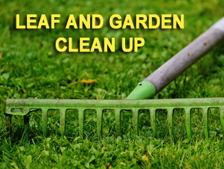 leaf and garden clean up- Lawn leaf removal Delta BC