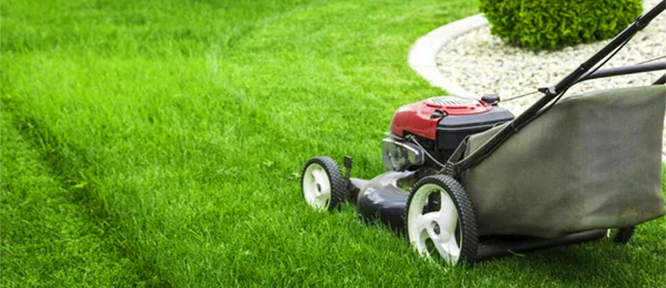 Manual Lawn Mower grass cutter